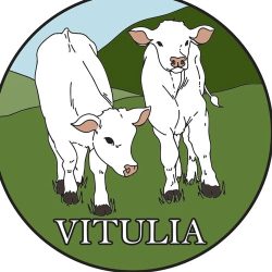 vitulia_logo